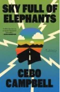 sky full of elephants